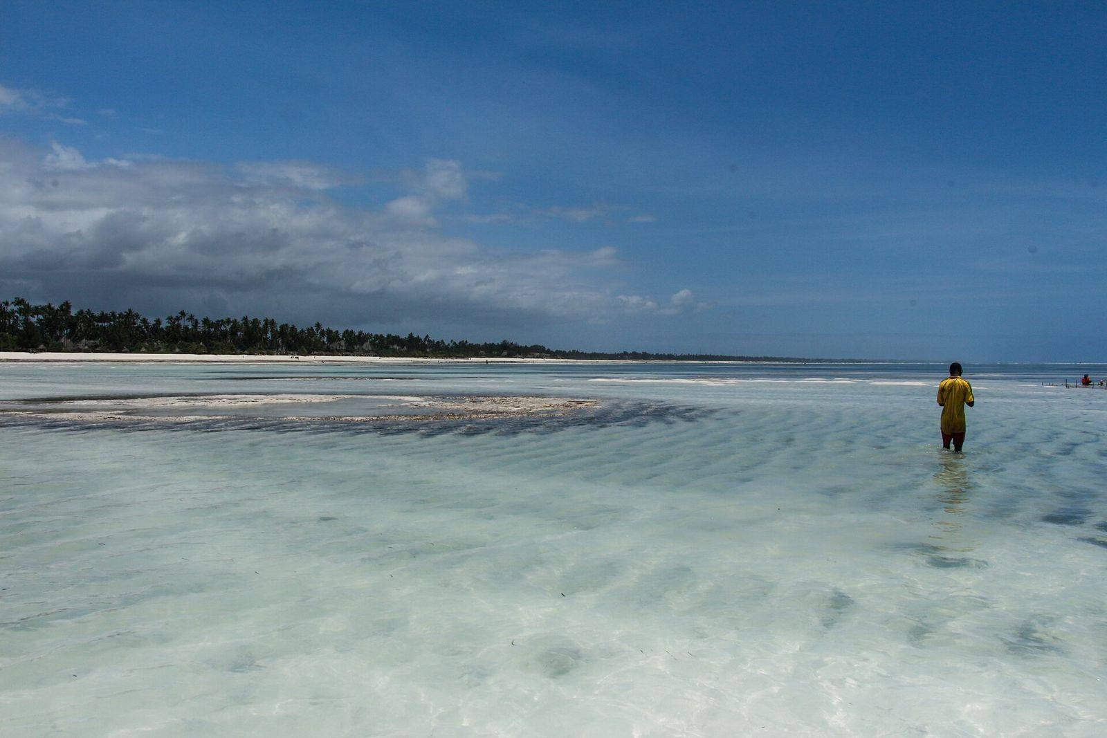 Praia de maré baixa e águas transparentes em Zanzibar